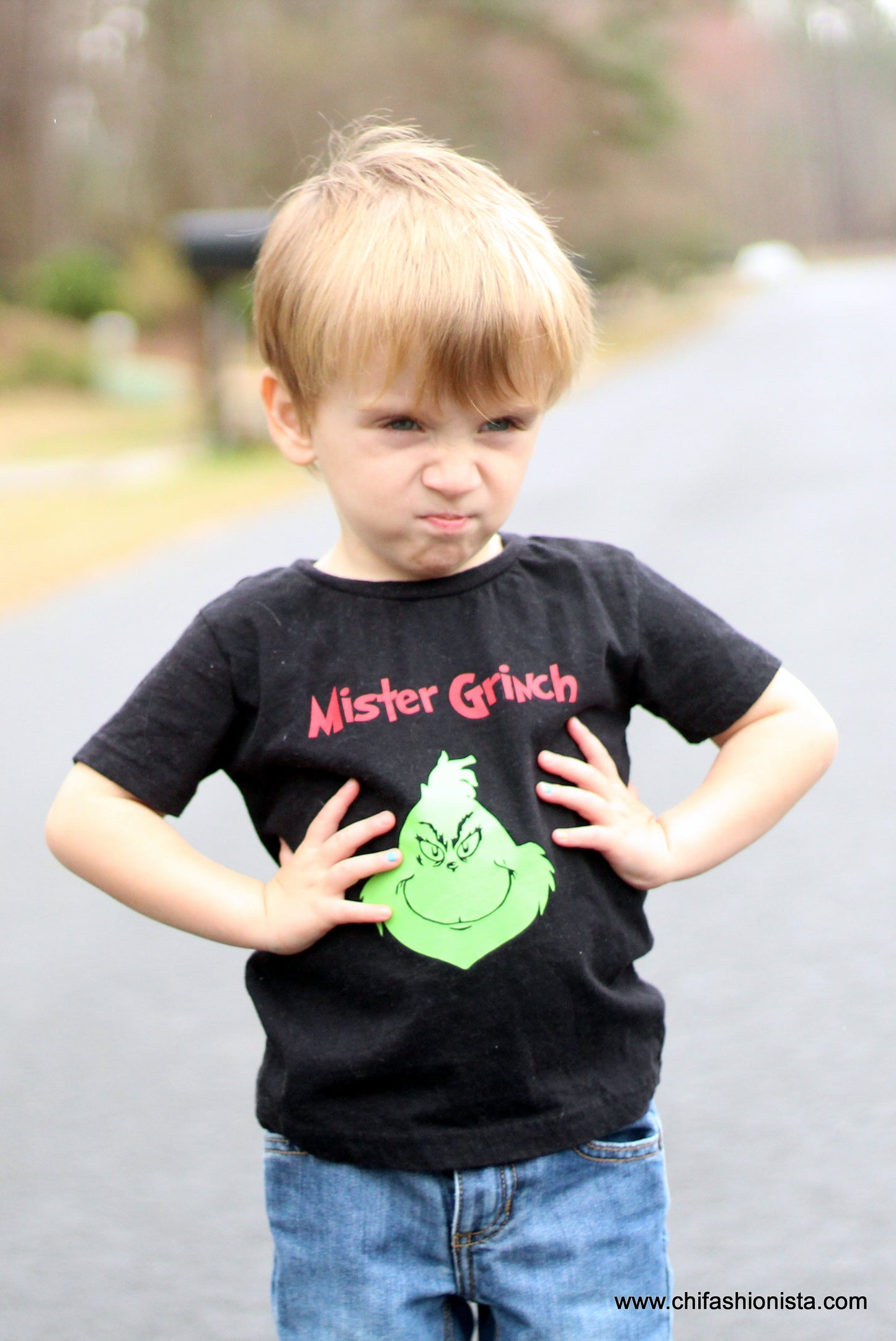Mister Grinch- Suess